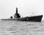 USS Sea Robin, circa 1944-1945