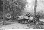 German Panzerkampfwagen 39H 735(f) tanks in a Yugoslavian forest, 1941