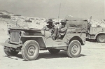 Willys MB Jeep in the service of Australian 2/48th infantry battalion in Egypt