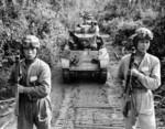 Chinese troops posing with M3A3 light tanks, Burma, circa 1942