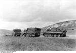 German SdKfz. 9 halftrack vehicle towing a Panzer VI Tiger I heavy tank in preparation for Operation Zitadelle, near Kursk, Russia, Jun 1943