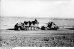 German Army SdKfz. 7 half-track vehicle towing a 8.8 cm FlaK gun in North Africa, Apr 1941