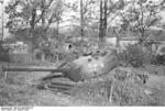 Wrecked Soviet T-34-85 tank at the outskirts of Nemmersdorf, East Prussia, Germany, late Oct 1944, photo 1 of 3