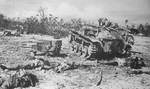 Knocked-out Type 94 Te-Ke tankette, Peleliu, Palau Islands, Sep 1944