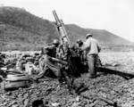 African-American 105mm Howitzer M2A1 crew of Battery A, US 159th Field Artillery Battalion firing their weapon near Uirson, Korea, 24 Aug 1950