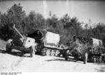 German half-tracks towing 7.5 cm PaK 40 anti-tank guns, Vitebsk, Russia, May 1944