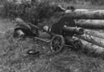 Dead Soviet soldier next to his Maxim M1910 heavy machine gun, date unknown