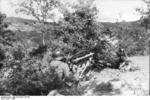 German MG42 machine gun crew in Italy, 1944