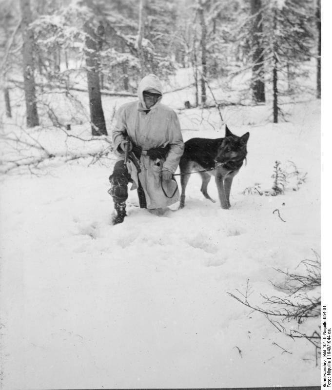 German Waffen-SS soldier training a dog in snow, Norway, 1940-1944
