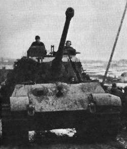 Tiger II file photo [14124]
