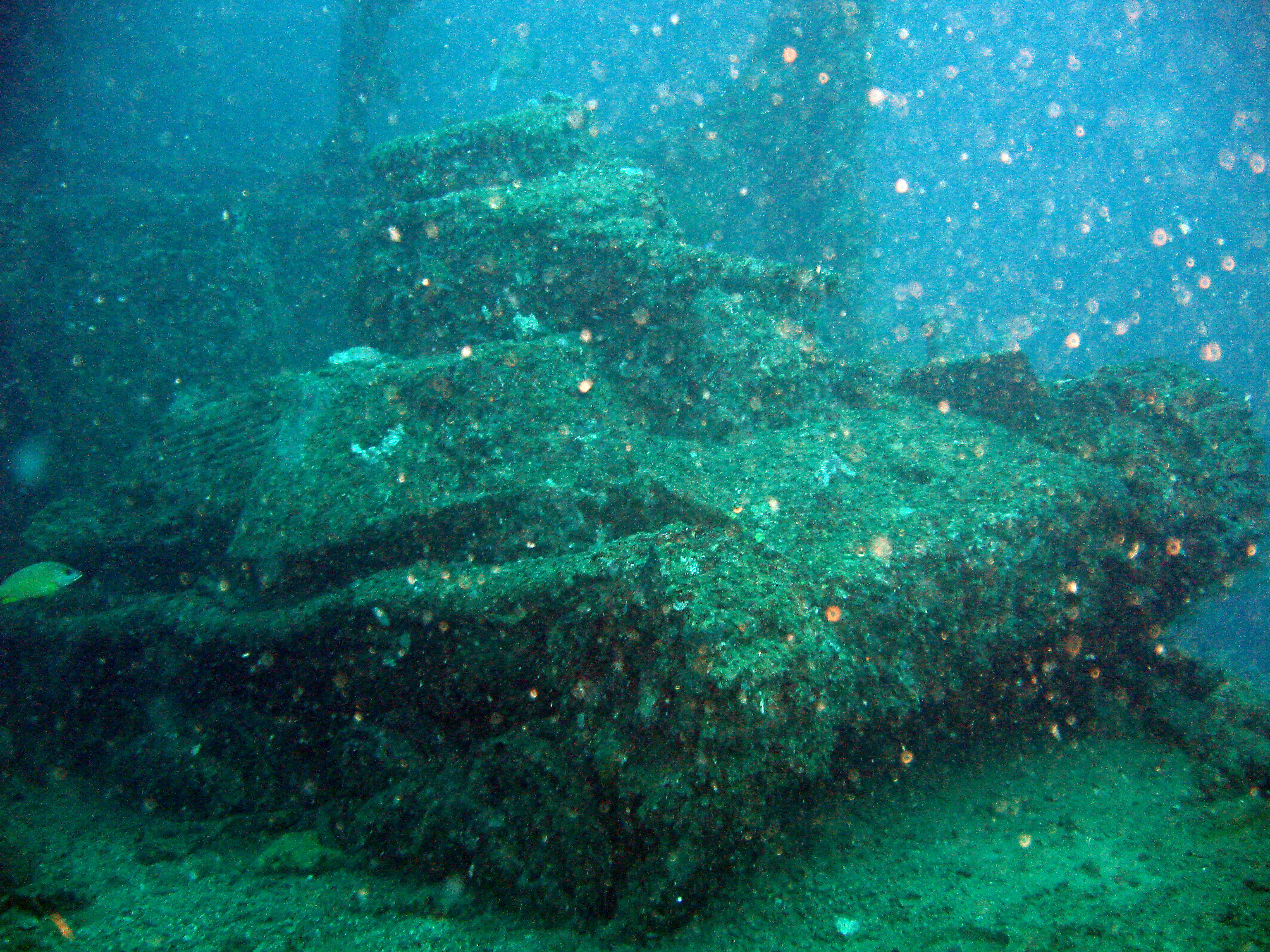 Type 95 Ha-Go tank under water at Truk (Chuuk), Caroline Islands, 19 Jul 2006