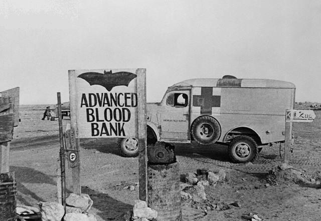 Dodge 1/2 ton ambulance in British service, Libya, 1942