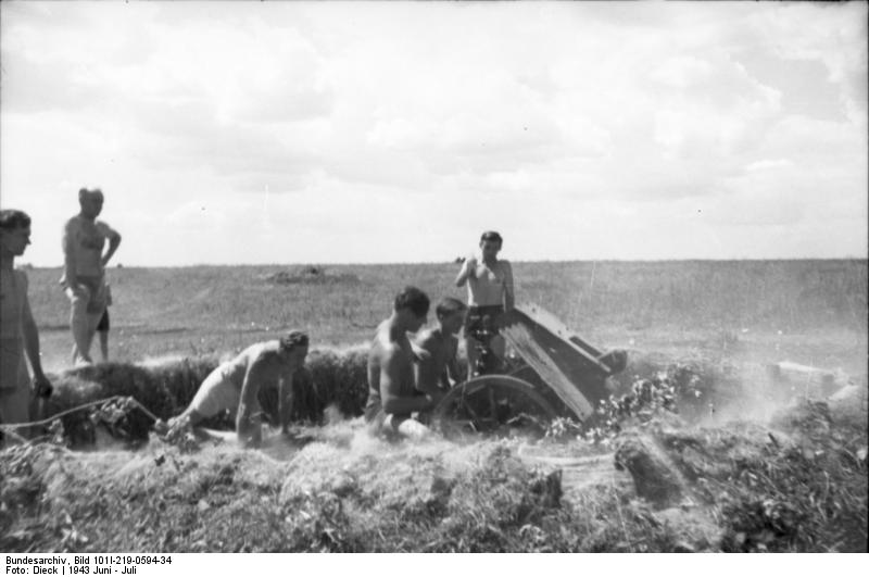 German soldiers drilling with a 7.5 cm le.IG 18 field gun, Russia, Jun-Jul 1943, photo 2 of 2
