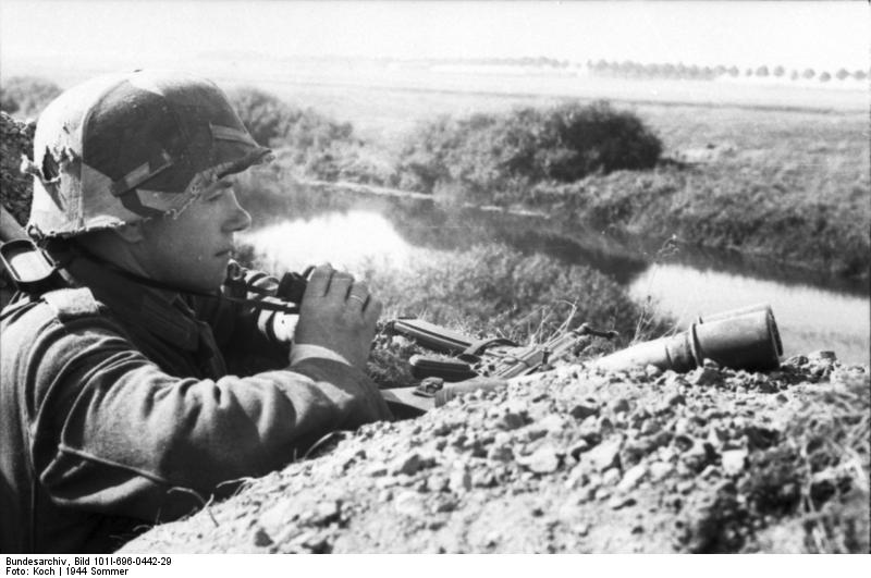 German soldier surveying the field, Russia, summer 1944; note Model 24 grenades and Sturmgewehr 44 rifle